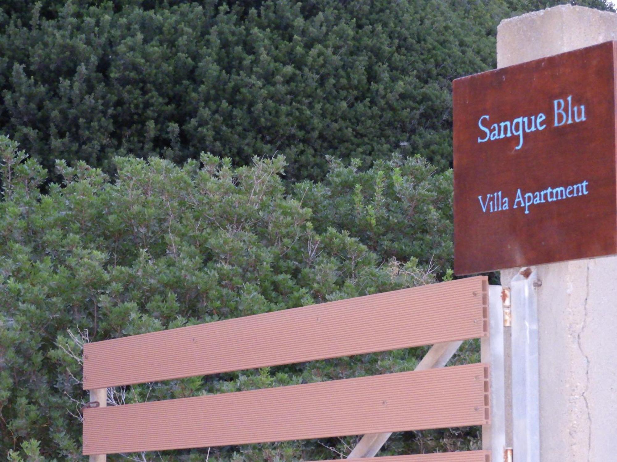 Sangue Blu Beachfront Villa Apartment Ájosz Nikólaosz Kültér fotó