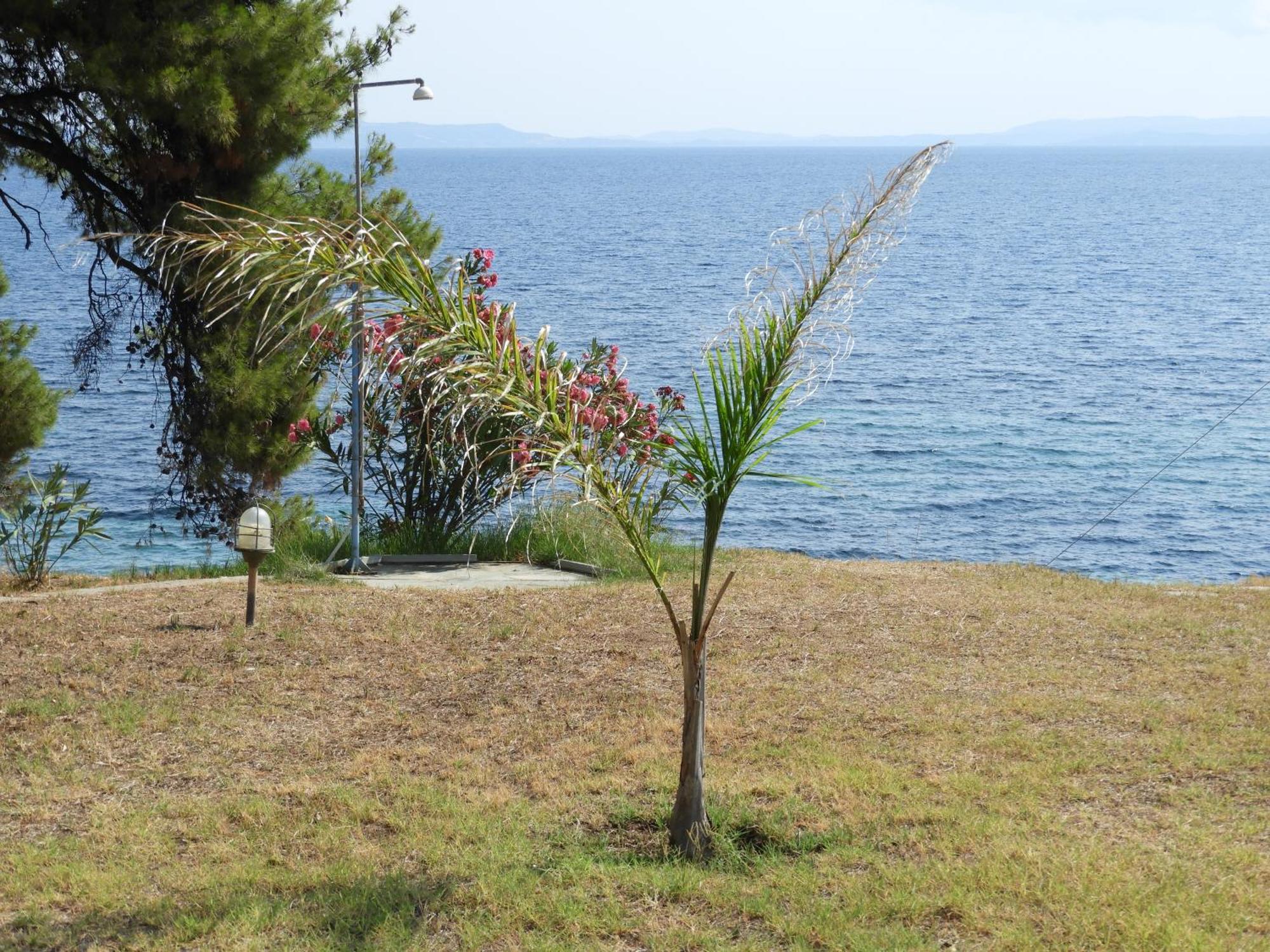 Sangue Blu Beachfront Villa Apartment Ájosz Nikólaosz Kültér fotó